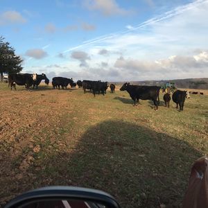 Meet your Posher, Yvette